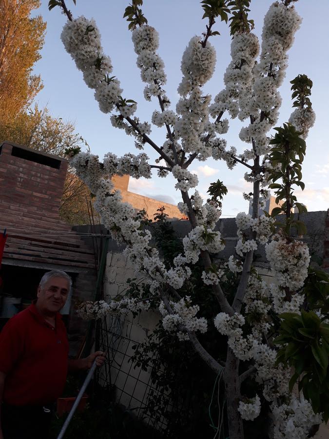 Amien Patagonia Apartment